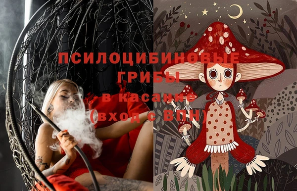 дурь Белоозёрский